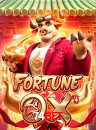 74BET.COM